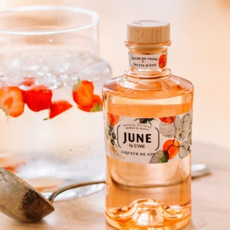 June by G'Vine Gin Pêche Maison Villevert