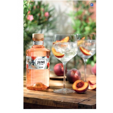 June By G'Vine Peach Gin...