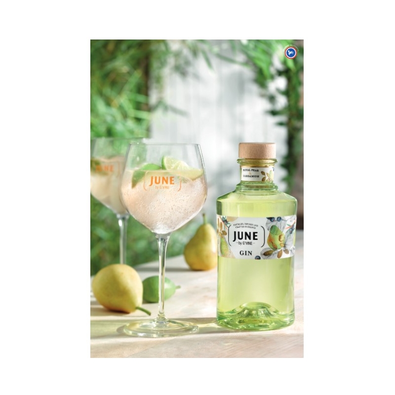 June by G'Vine Gin Poire et cardamome Maison Villevert